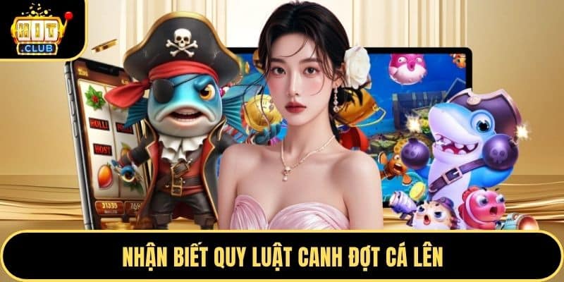 Nhận biết quy luật canh đợt cá lên