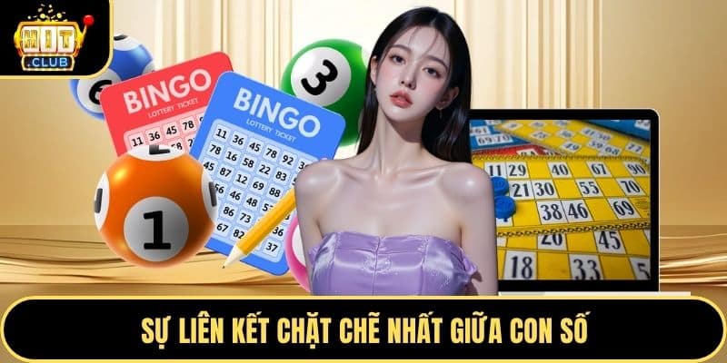 Sự liên kết chặt chẽ nhất giữa con số