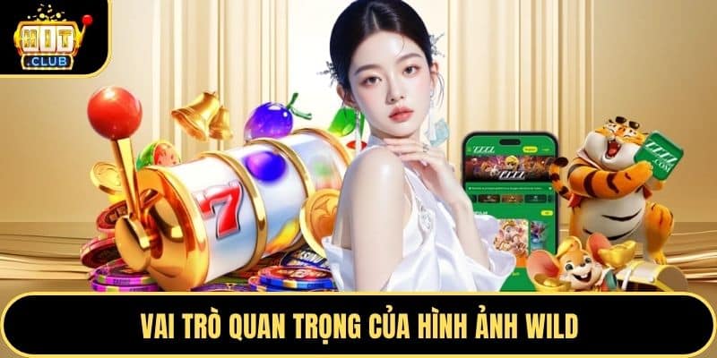 Vai trò quan trọng của hình ảnh Wild