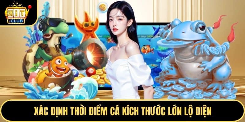 Xác định thời điểm cá kích thước lớn lộ diện